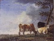 POTTER, Paulus Three Cows in a Pasture oil painting on canvas